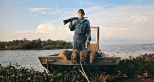 A lesson in unintended consequences