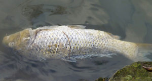 Weekly news round-up