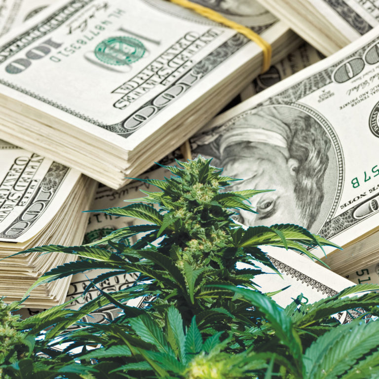 The great Boulder County ganja price war