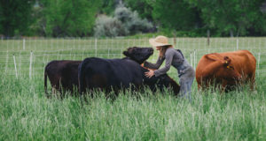 Boulder County’s reported ‘80 percent’ farm failure rate doesn’t tell the full story