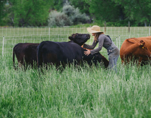 Boulder County’s reported ‘80 percent’ farm failure rate doesn’t tell the full story
