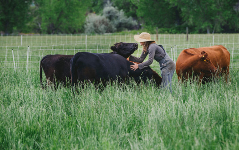 Boulder County’s reported  ‘80 percent’ farm failure rate doesn’t tell the full story
