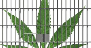 SAM shows its true totalitarian colors