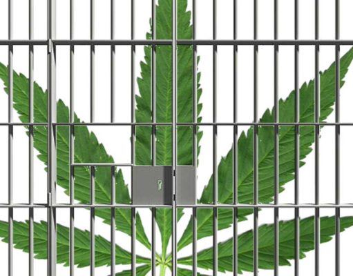 SAM shows its true totalitarian colors