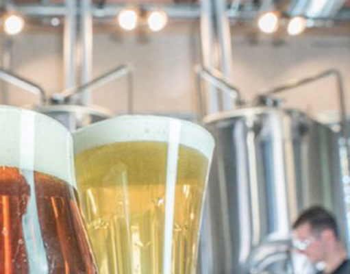 In search of a sustainable future