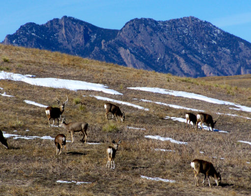 Locals wary despite company promise not to frack Rocky Flats