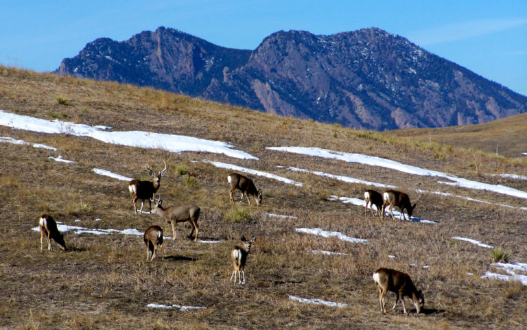 Locals wary despite company promise not to frack Rocky Flats