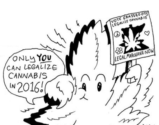 Finding the right marijuana spokesperson