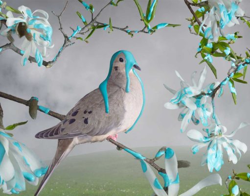 An overindulgent truth