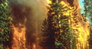 Governor Brown and ‘the new abnormal’