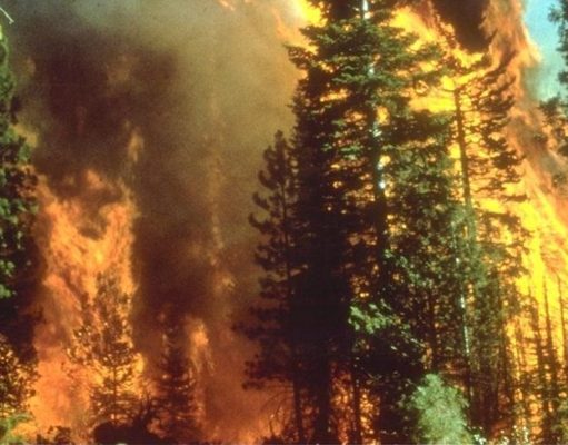 Governor Brown and ‘the new abnormal’