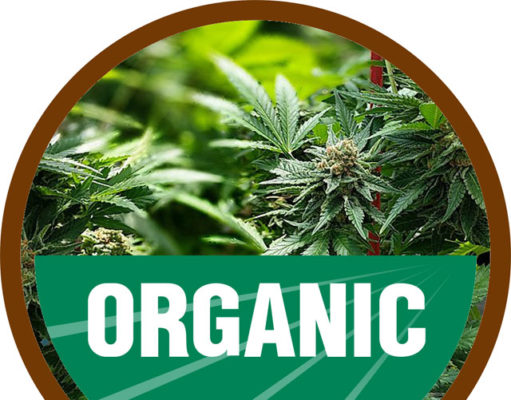 Organic cannabis