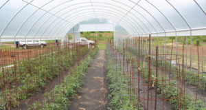 Amendments to Boulder County’s Land Use Code approved