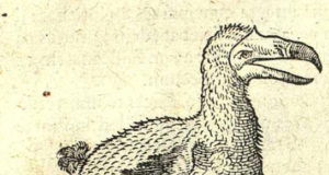 Evolution in action on the right coast