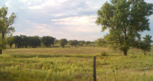 A portrait of the small town as a young man