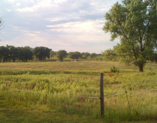 A portrait of the small town as a young man