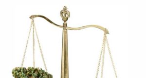 Moving on from marijuana