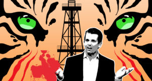 The king’s forest or the people’s lands