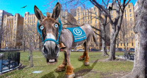 Colorado Dems are in tough spot — they control everything