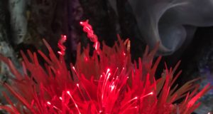 Wrapping meaning in fun