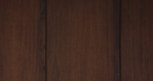 The ghost in the machine