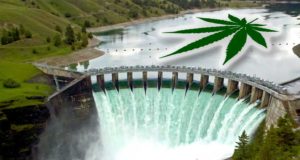 Marijuana legalization 2019: The dam is breaking