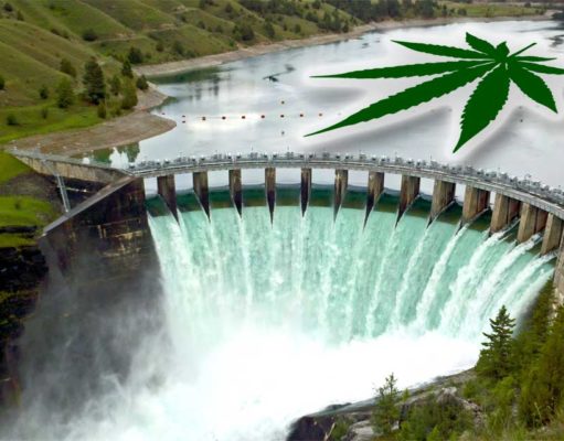 Marijuana legalization 2019: The dam is breaking