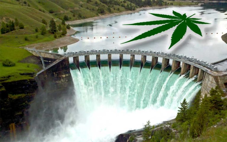 Marijuana legalization 2019: The dam is breaking