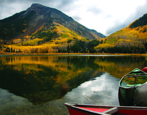 Our most precious resource