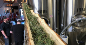 New in brew: Picks for Collaboration Fest