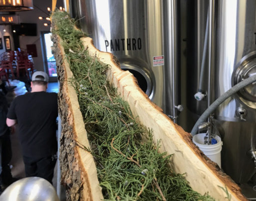 New in brew: Picks for Collaboration Fest