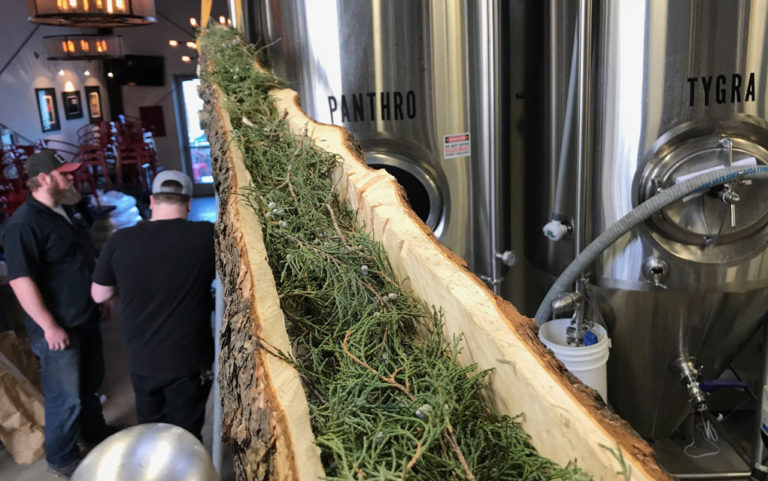 New in brew: Picks for Collaboration Fest