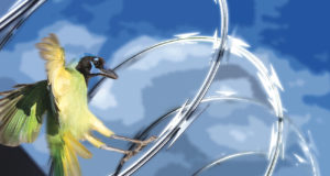 River first, border second