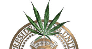 Dem presidential candidates get on the legalization bandwagon