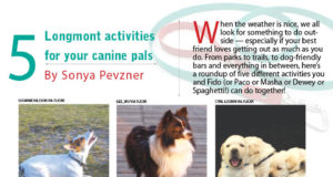 Five Longmont activities for your canine pals