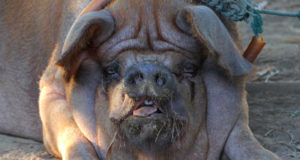 The debunking of a couple stoner stereotypes