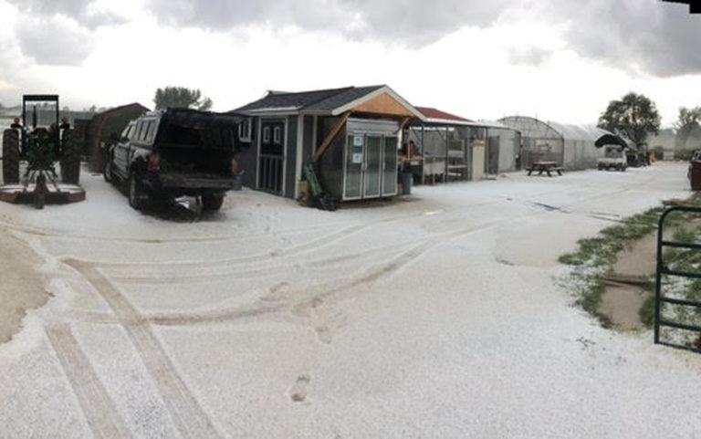 Season of hail