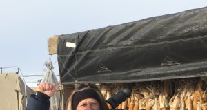 The greatest scientists are artists