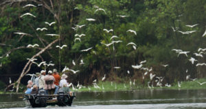 Natural Habitat Adventures to offset air travel emissions for all clients