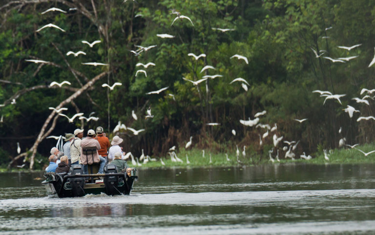 Natural Habitat Adventures to offset air travel emissions for all clients