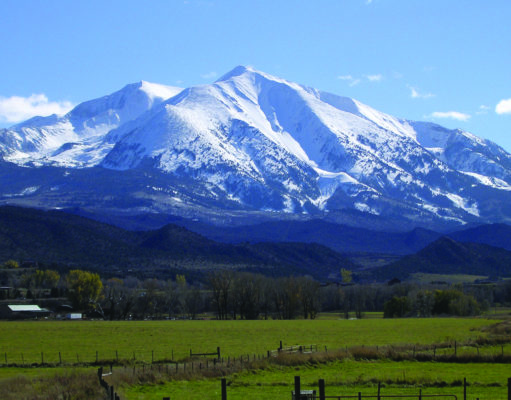 Summer Scene Sports Calendar 2019