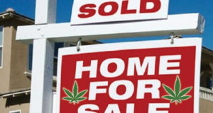 Another study finds legalization runs up property values