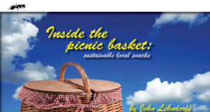 Inside the picnic basket