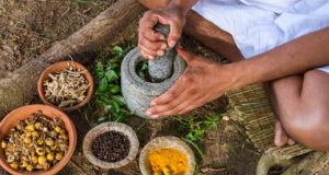 A food perspective on the U.N.’s study on potential extinction of 1 million species