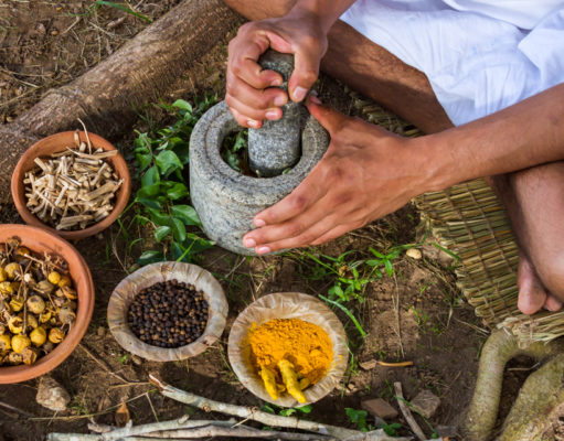 A food perspective on the U.N.’s study on potential extinction of 1 million species