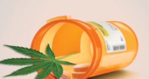 Colorado passes law allowing doctors to prescribe cannabis in place of opioids
