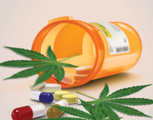 Colorado passes law allowing doctors to prescribe cannabis in place of opioids