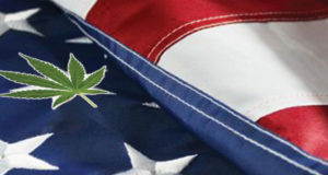 Advocate for veteran access to cannabis this Memorial Day