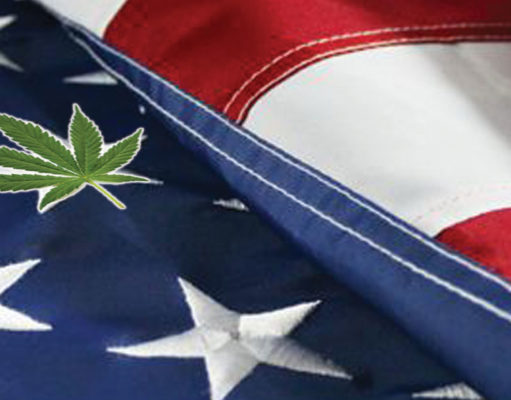 Advocate for veteran access to cannabis this Memorial Day