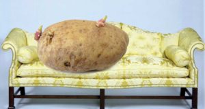 New study suggests stoners work out longer and harder than sober people